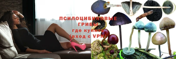 Альфа ПВП Белая Холуница