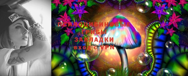 стафф Ахтубинск