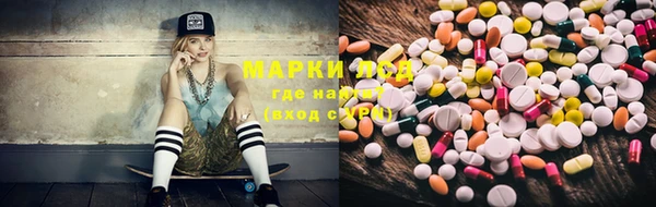 Альфа ПВП Белая Холуница