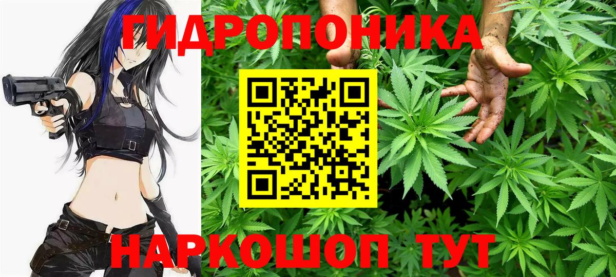 Бошки марихуана THC 21%  Бошки Шишки VHQ  Вход с VPN  Когалым  Каннабис ГИДРОПОН 